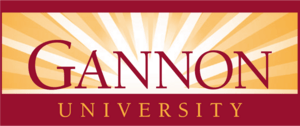 gannon-university-logo-927FFCB495-seeklogo.com